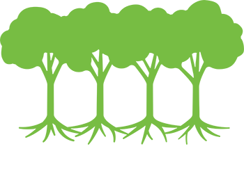 Capital Trees Richmond, VA